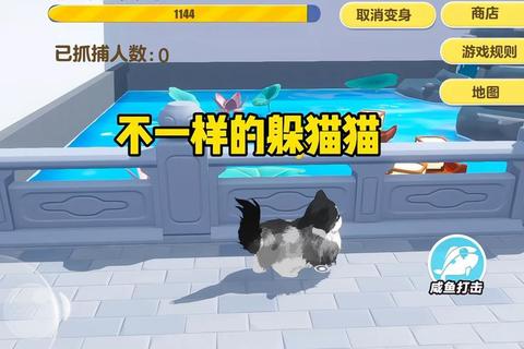 躲猫猫下载_最新版安装包获取技巧-安卓IOS双平台指南
