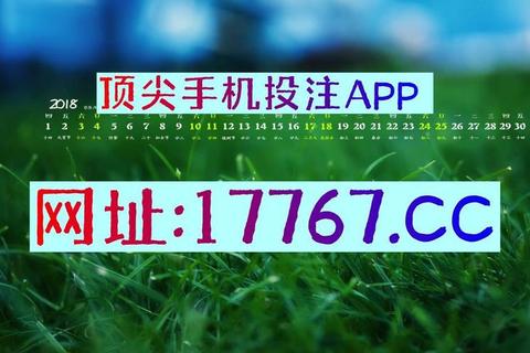 365app下载_官方正版安装指南与安全获取步骤详解