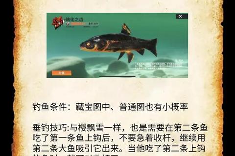 疯狂钓鱼手游终极攻略从入门到精通掌握稀有鱼种捕获技巧