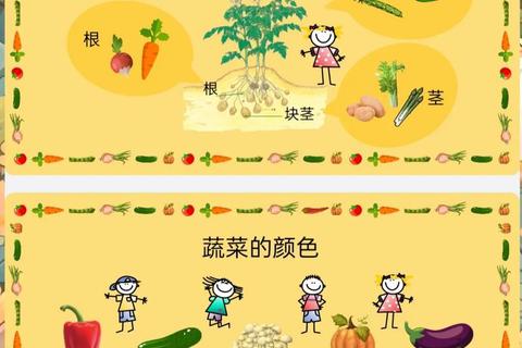 蔬菜游戏趣味合集：亲子互动与益智玩法大全