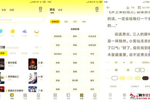 小说免费下载资源大全_畅读全本热门作品一键获取指南