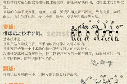 排球游戏全攻略:技巧解析_规则指南与实战玩法大全