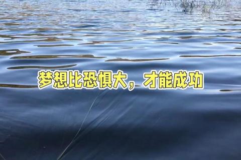 新梦想怎么样实现困难重重掌握科学方法轻松突破瓶颈