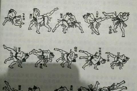 江户四十八手技法下载指南:完整图解与实战应用解析