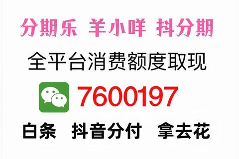 哪个软件可以套花呗解决资金周转难题推荐安全高效变现渠道