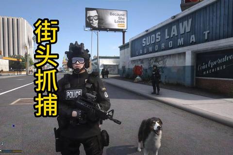 警察模拟器:真实执法行动下载-免费体验刺激追捕任务 警察模拟器:真实执法行动下载-免费体验刺激追捕任务