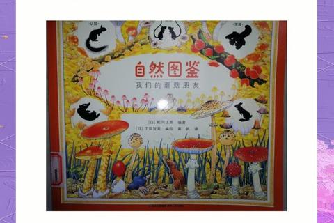 采蘑冒险奇旅-森林探秘与趣味收集大挑战 采蘑冒险奇旅-森林探秘与趣味收集大挑战