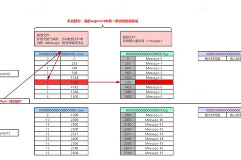 天界攻略2023最新版本新手进阶指南与隐藏任务速通技巧