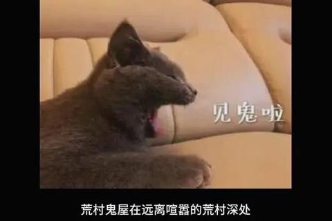 荒村鬼屋2全场景通关秘籍恐怖线索收集与高能剧情深度解析指南