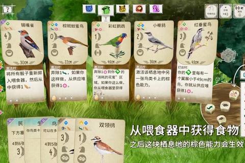 羽翼翱翔大挑战：趣味鸟小游戏等你来玩