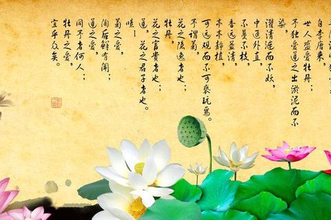 爱莲说第19关全流程步骤解析与隐藏剧情解锁指南