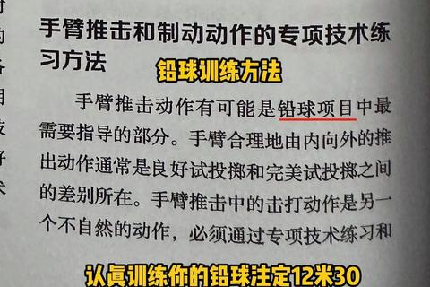 冠军教练养成指南：从零到巅峰的五大核心训练法则与实战经验分享