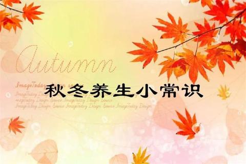 为什么有冬天寒冬不适根源揭秘与科学保暖解决方案