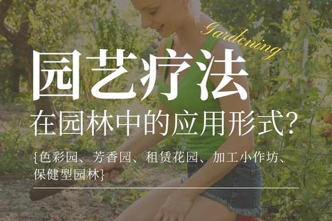 心灵花园:指尖绽放的治愈系园艺之旅 心灵花园:指尖绽放的治愈系园艺之旅