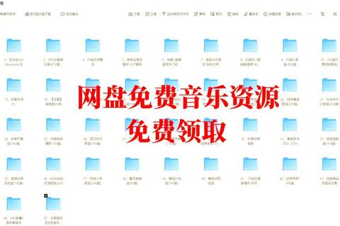高清音质音频播放器下载_免费资源与安装使用全攻略