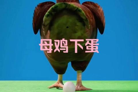 母鸡下蛋大挑战：蛋蛋农场奇趣争夺赛