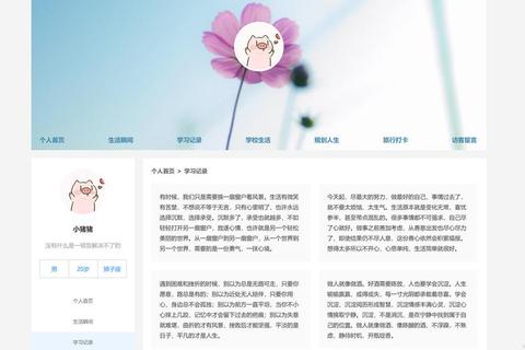 优质网页难筛选？盘点有哪些好的网页助你高效获取目标资源