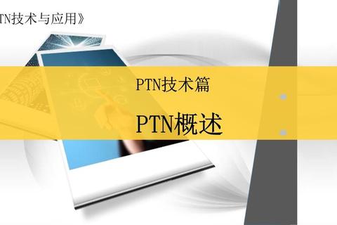 PT指什么？三大常见定义误区解析与正确应用场景说明