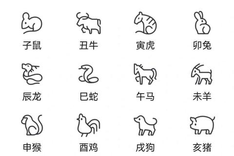 辛是哪个生肖总混淆？3招助你快速记忆天干地支对应关系