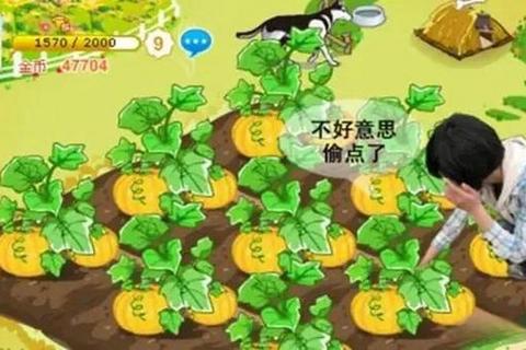 偷菜游戏下载_最新版本免费安装-畅玩农场乐园轻松体验 偷菜游戏下载_最新版本免费安装-畅玩农场乐园轻松体验