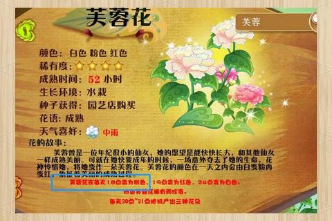 小花仙游戏全攻略_玩法秘籍与精灵养成技巧详解 小花仙游戏全攻略_玩法秘籍与精灵养成技巧详解