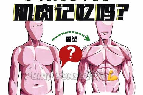 肌肉进化:虚拟健身与策略养成新纪元 肌肉进化:虚拟健身与策略养成新纪元