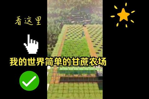 我的世界高效农田规划与作物增产技巧详解从入门到精通指南