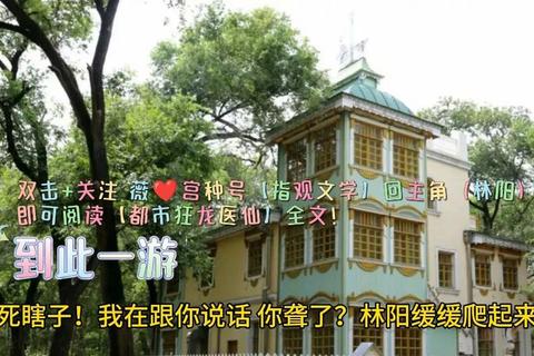秦墨是哪个小说的主角困扰书迷已久快速定位答案方法揭秘