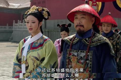 深宫红颜录·甄嬛传之权谋漩涡_凤逆天下局中局