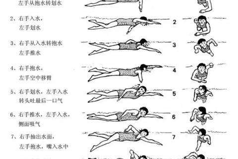游泳小游戏技巧全解析新手快速通关攻略
