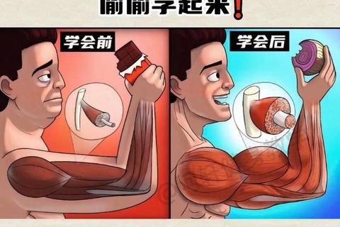 肌肉进化:虚拟健身与策略养成新纪元 肌肉进化:虚拟健身与策略养成新纪元