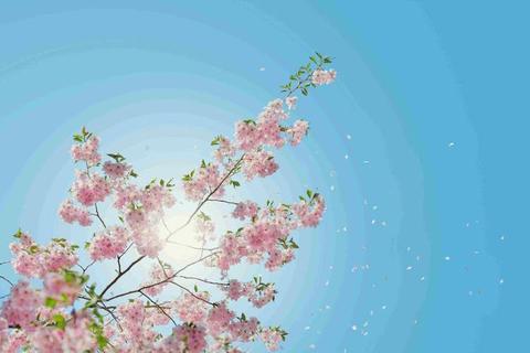 高清优美图下载-海量免费素材库与优质图片资源一键获取