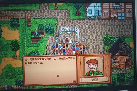 星露谷物语怎么结婚全流程详解三步快速解决村民结婚难题