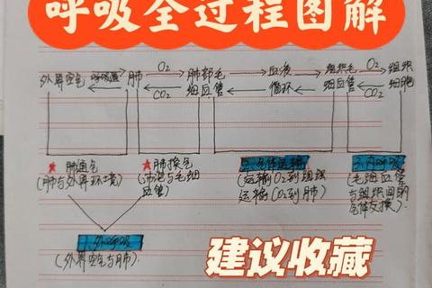 呼吸边缘全流程生存指南：氧气管理技巧与隐藏道具收集攻略