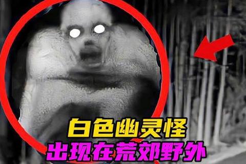 下载鬼影潜伏记-揭秘数字世界中的幽灵数据传输事件