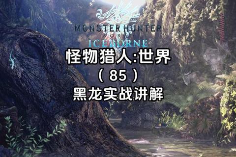 黑龙攻略团队配置与输出手法全面解析及装备选择版本应对技巧指南