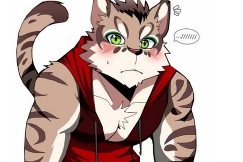 大猫游戏全关卡隐藏任务解锁与终极Boss速通实战技巧分享