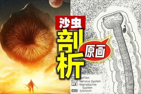 沙丘生存指南从资源采集到沙虫应对的十大必学技巧全解析