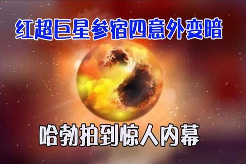 璀璨星光夜夜闪耀揭秘巨星私藏的神秘社交圈内幕 璀璨星光夜夜闪耀揭秘巨星私藏的神秘社交圈内幕