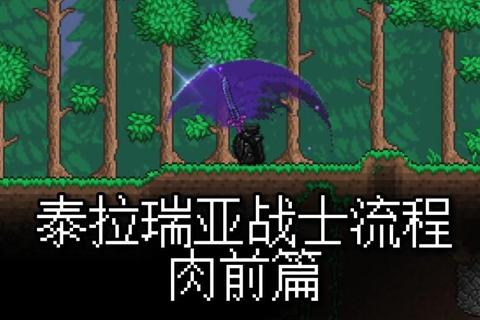 《泰拉瑞亚新手必看：前期生存发育高效指南》