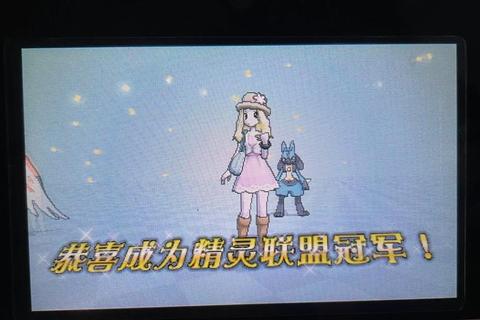 《口袋妖怪太阳全流程通关技巧与精灵培养指南》