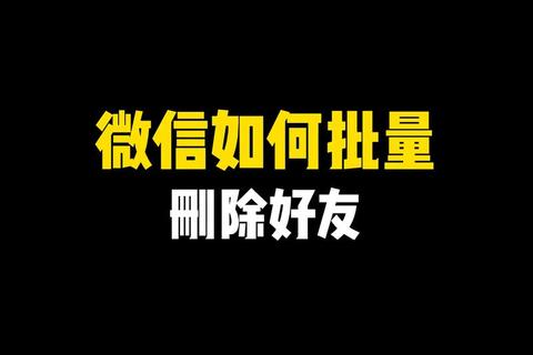 精准高效一键检测微信好友删除自己的智能软件助你掌控社交关系