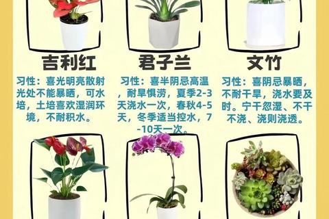 新手必看家庭种植十大技巧与养护指南