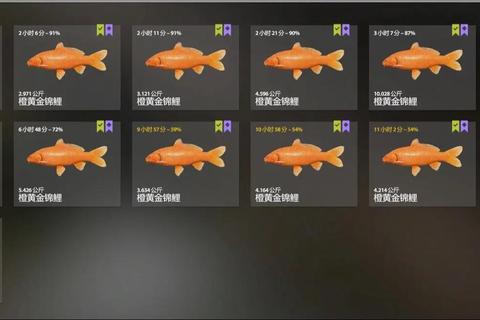俄罗斯钓鱼4攻略·《俄罗斯钓鱼4全攻略技巧详解与实战指南》