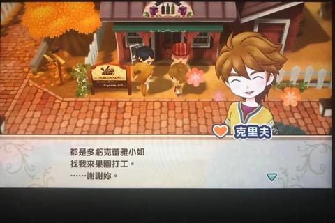 牧场物语双子村攻略_《牧场物语双子村全攻略秘籍与技巧详解》 牧场物语双子村攻略_《牧场物语双子村全攻略秘籍与技巧详解》