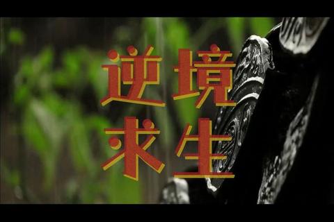 逆境求生指南:活下去的十大必备生存法则 逆境求生指南:活下去的十大必备生存法则