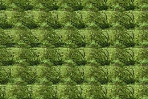 立体世界全攻略：三维空间通关技巧大揭秘