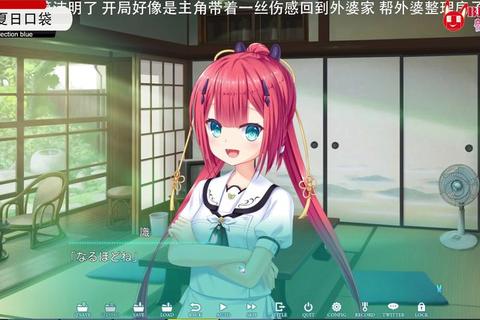 《夏日口袋全收集指南：隐藏剧情与通关技巧详解》
