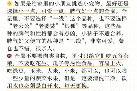 新手养仓鼠攻略(《新手养仓鼠完全指南:饲养护理轻松入门》) 新手养仓鼠攻略(《新手养仓鼠完全指南:饲养护理轻松入门》)
