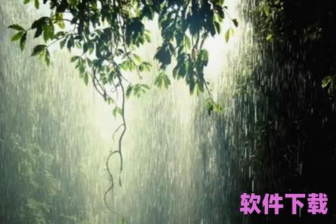 下雨花生视频素材下载，下雨声视频下载